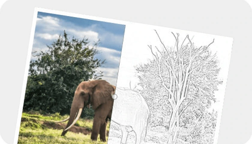 Turn Your Photos into Coloring Books